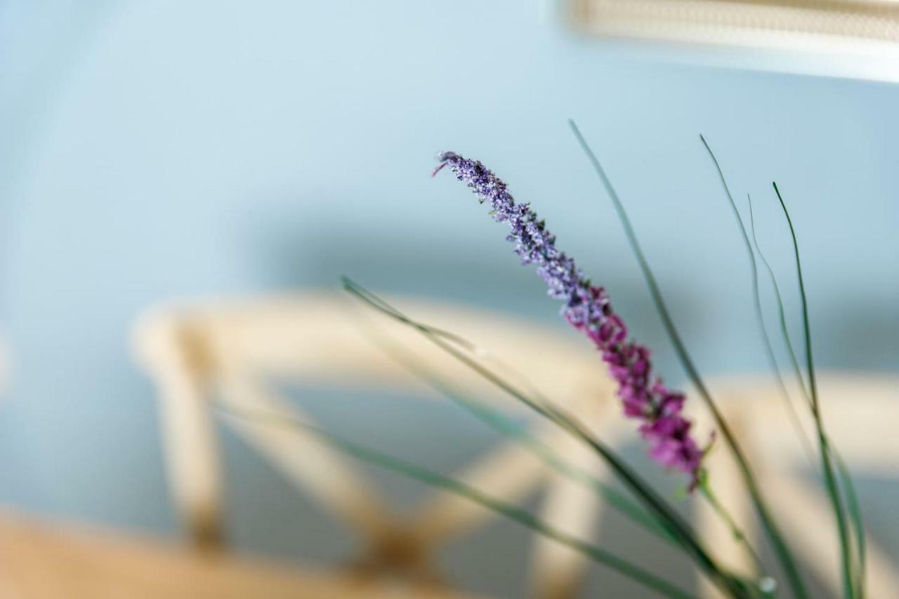Agia MarinaCharming And Comfy Houseアパートメント エクステリア 写真