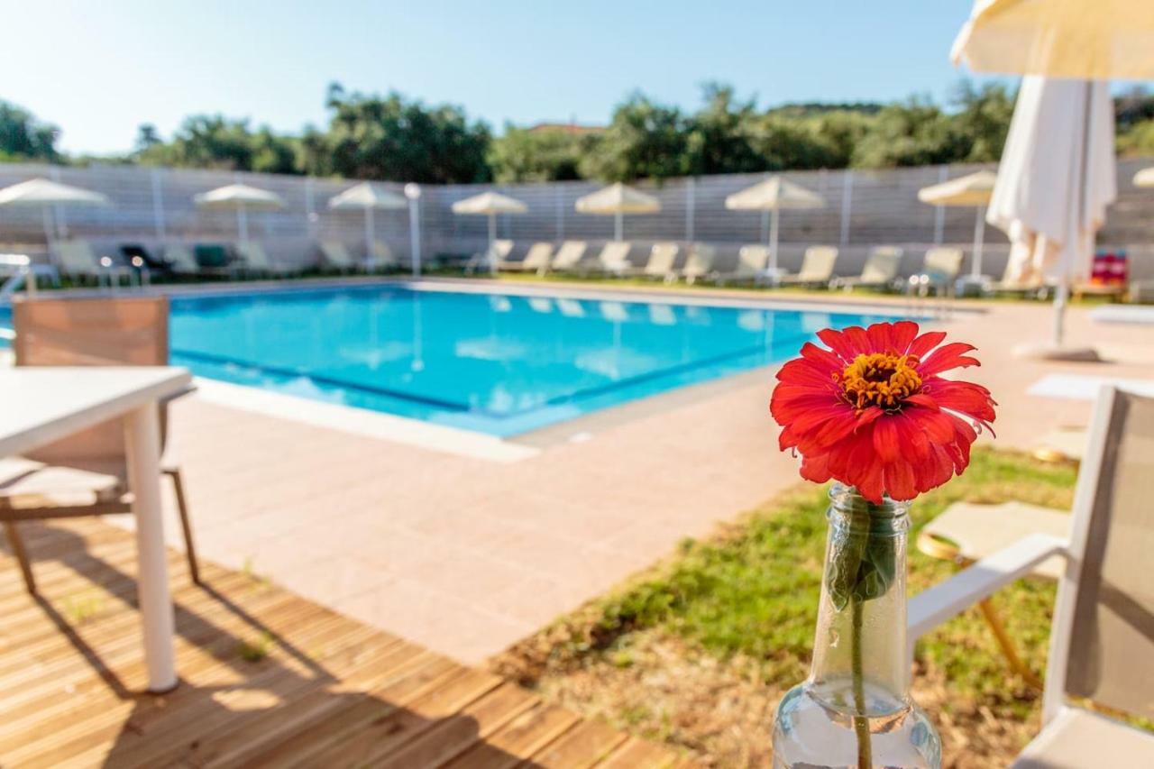 Agia MarinaCharming And Comfy Houseアパートメント エクステリア 写真